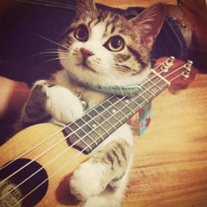 动漫美女被吸乳被操的视频
